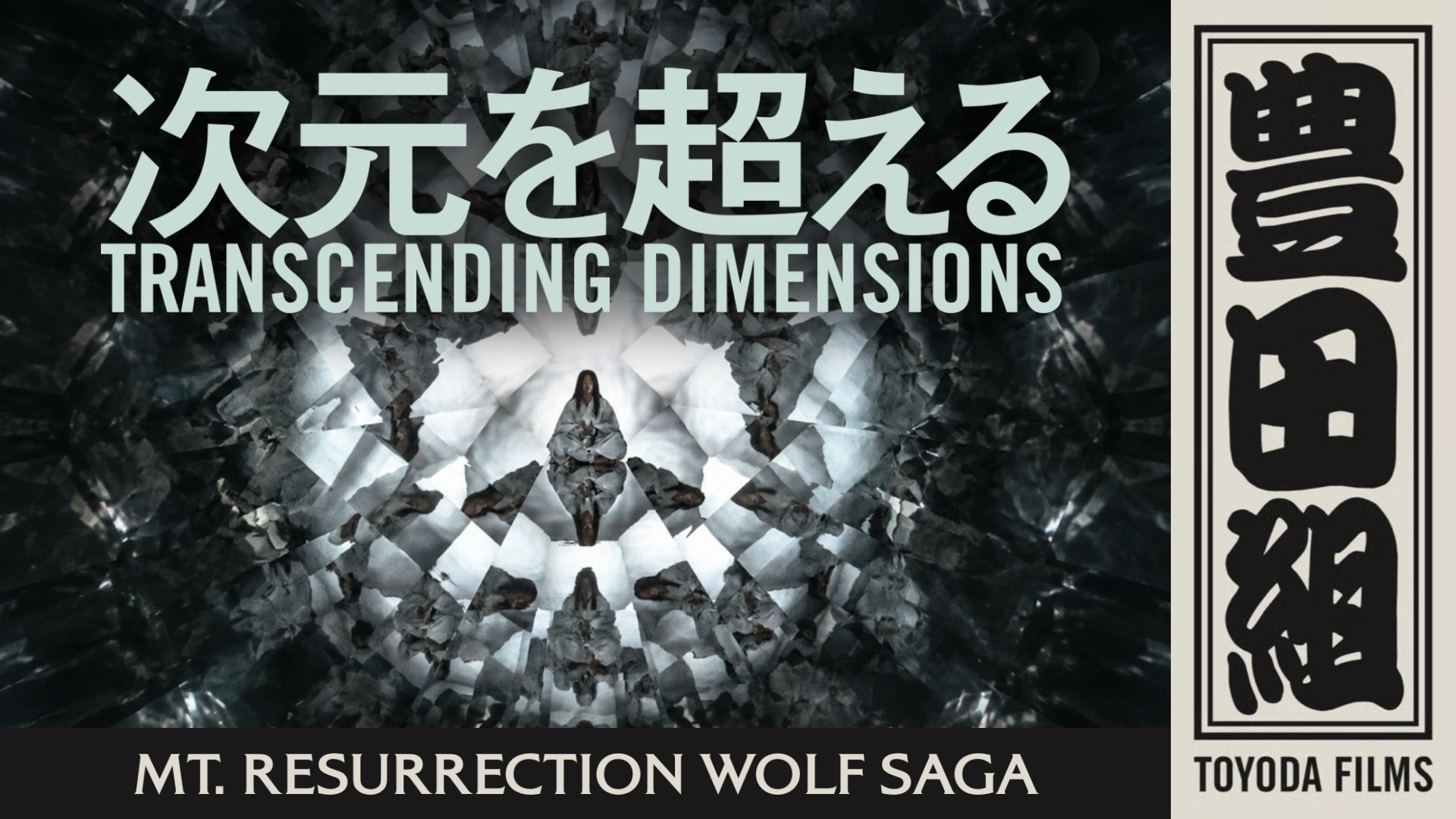 Transcending Dimensions