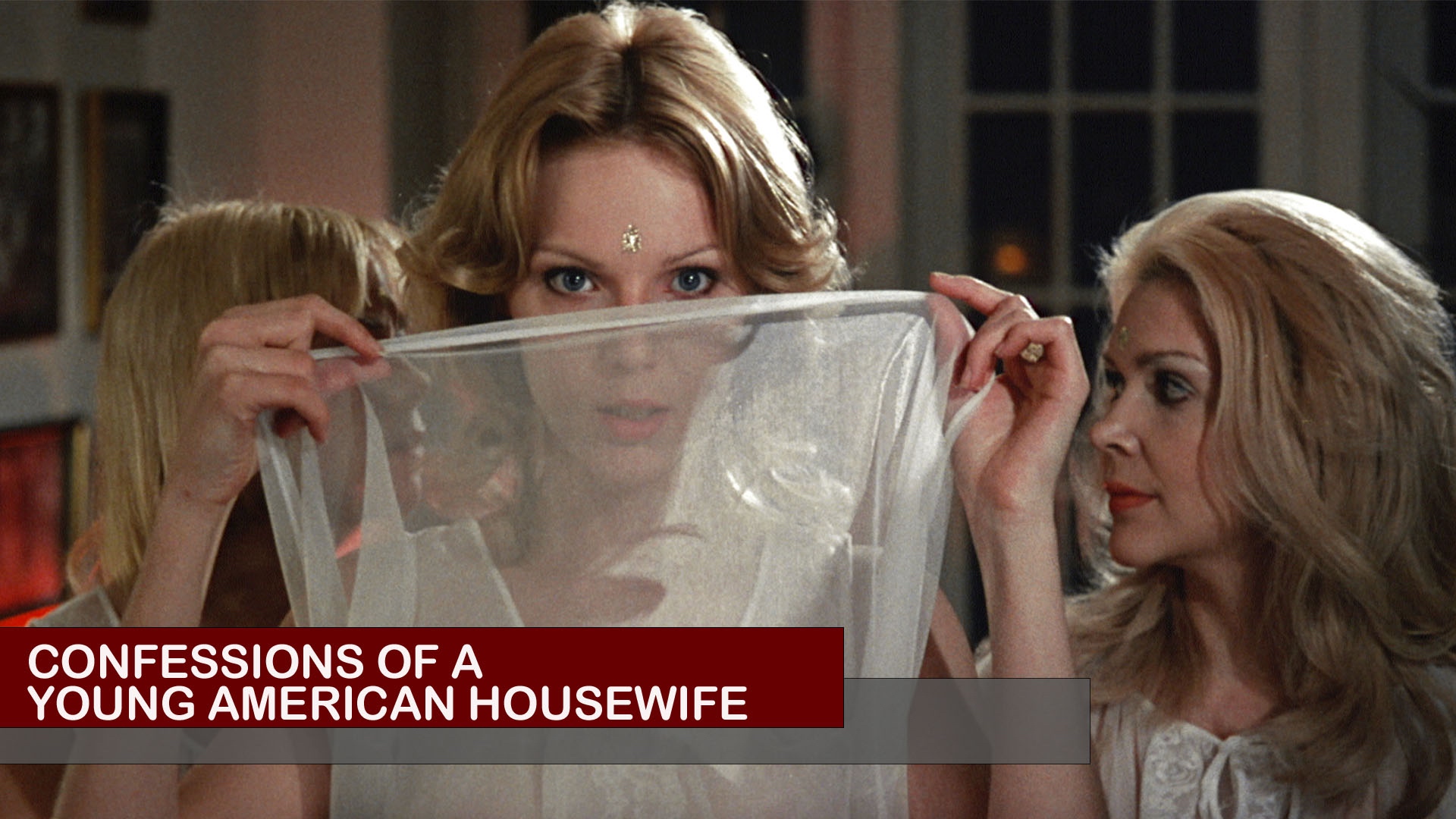 Confessions of a young american housewife movie
